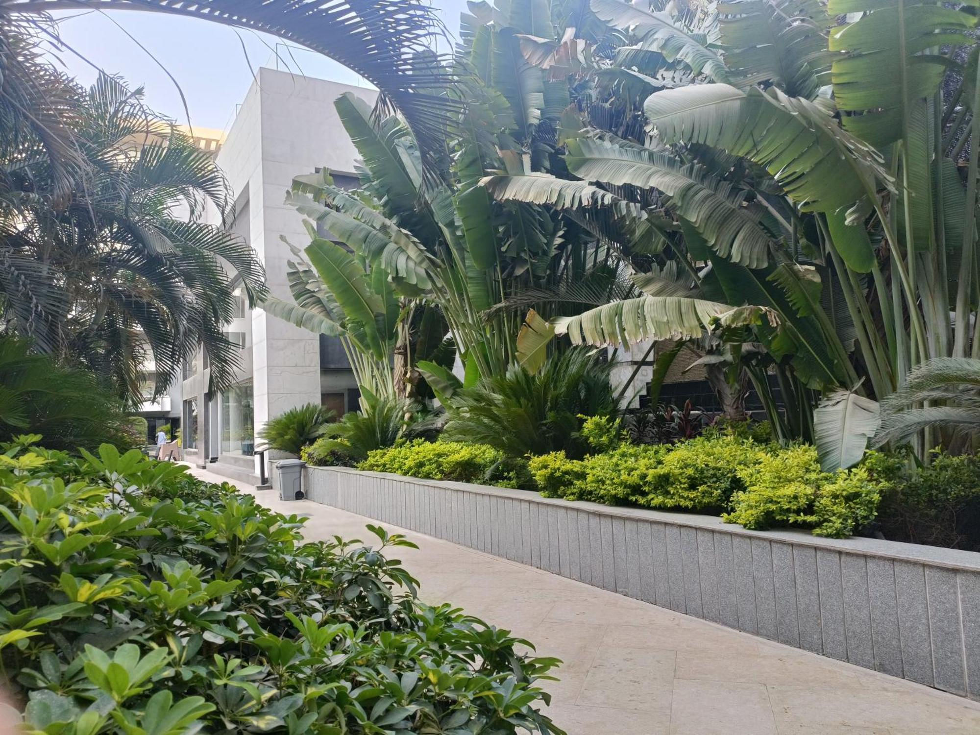 Sheraton Ocean 601-A - Private Apartments Kaherah Luaran gambar